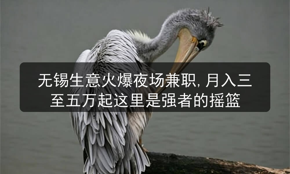 无锡生意火爆夜场兼职,月入三至五万起这里是强者的摇篮图片