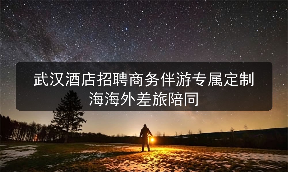 武汉酒店招聘商务伴游专属定制海海外差旅陪同