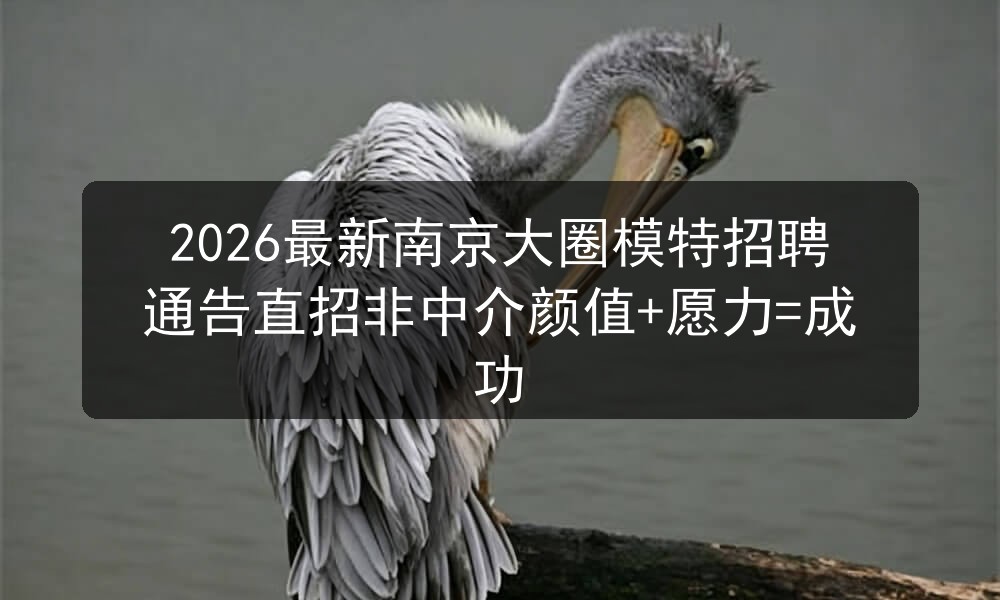 2026最新南京大圈模特招聘通告直招非中介颜值+愿力=成功