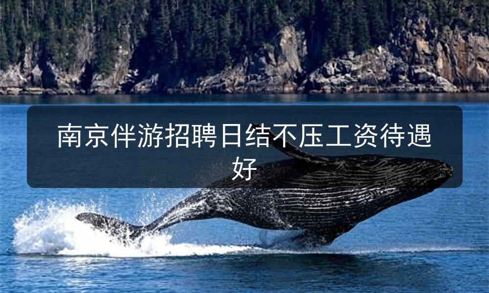 南京伴游招聘日结不压工资待遇好