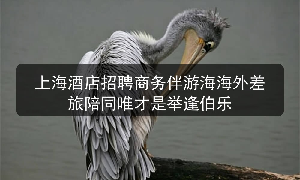 上海酒店招聘商务伴游海海外差旅陪同唯才是举逢伯乐
