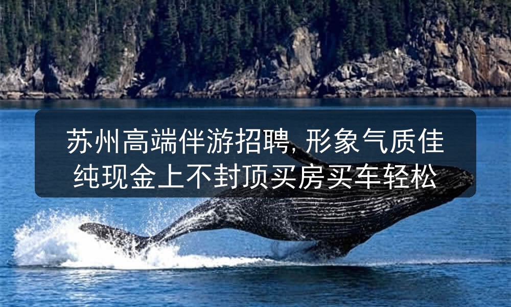 苏州高端伴游招聘,形象气质佳纯现金上不封顶买房买车